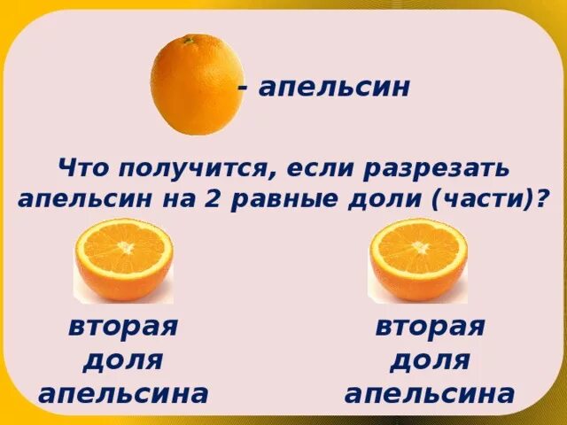 Нахождение нескольких долей числа. Доли апельсина. Равные доли апельсина. Доли апельсина математика. Апельсин на 2 доли.