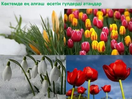 Секс скриншот камера rus stars