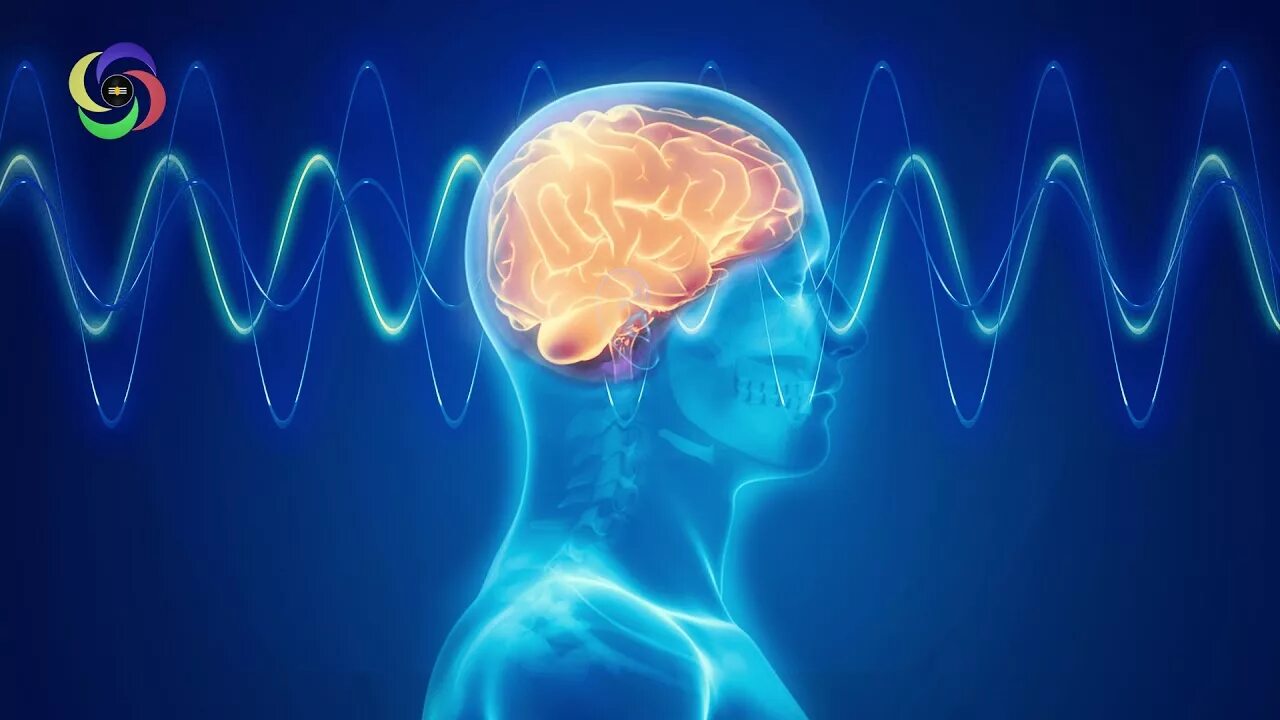 Brain sound. Звук и мозг. Бинауральные ритмы. Саундхилинг. Sound Healing.