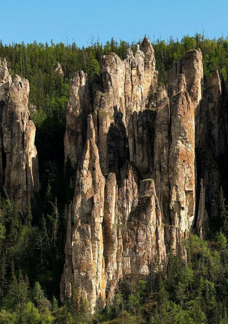 Лена столбы природный парк. Ленские столбы в Якутии. Национальный парк “Ленские столбы”, Якутия. Река Лена Ленские столбы. Якутск Ленские столбы.