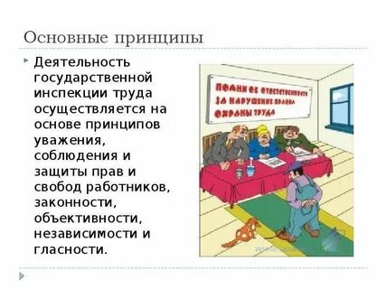 Деятельность инспекций