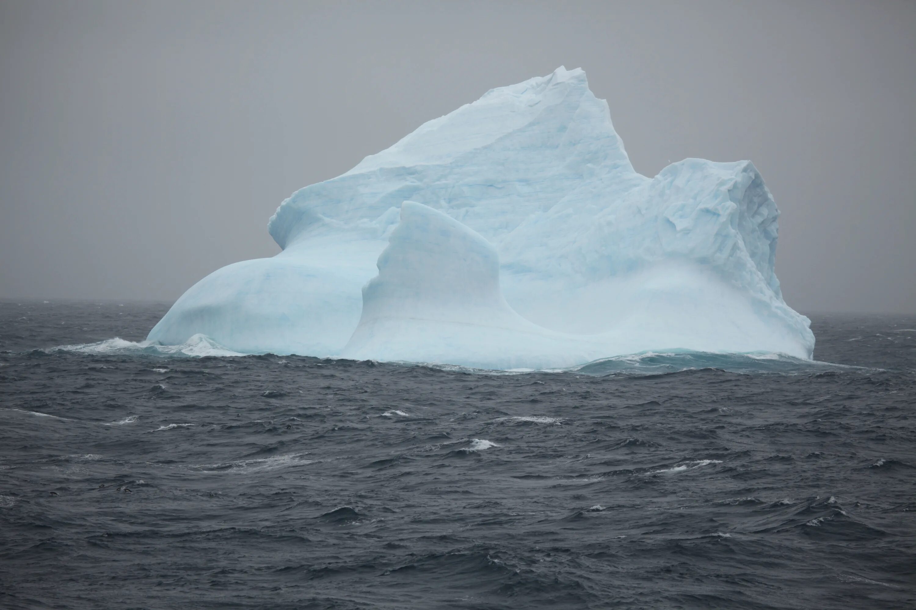 Южный океан. Айсберг. Антарктика океан. Айсберг в океане текст