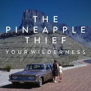 Your wild