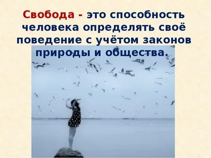 Свобода конспект урока