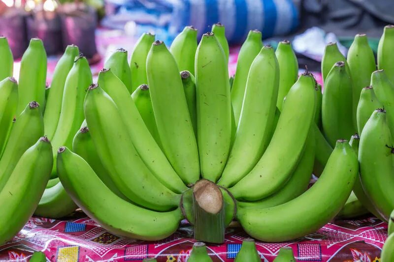 Зеленый бан. Зеленые бананы. Неспелый банан. Зеленый незрелый банан. Зеленая бандана.