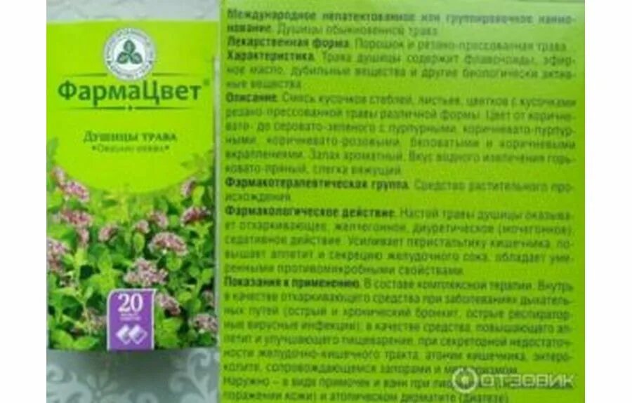Какие травы можно пить беременным. Душица трава фармацвет. душица красногорсклексредства. травы для выкидыша. душица трава показания.