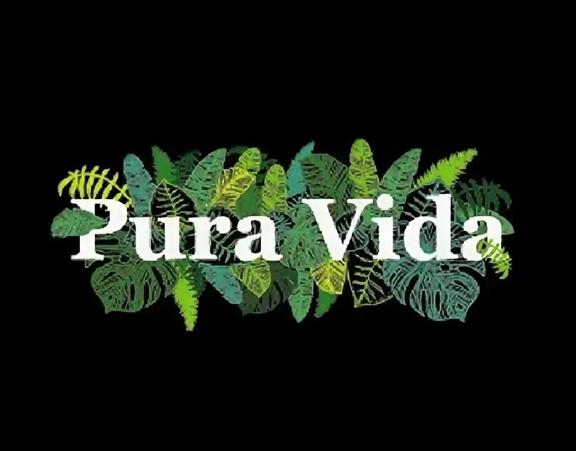 Bass generation upgrade pura vida. Pura vida apps это. надписи на испанском принт pura vida.