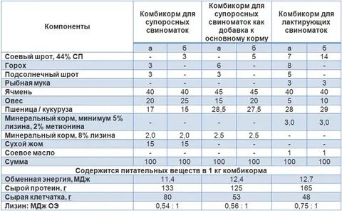 Можно давать комбикорм поросятам
