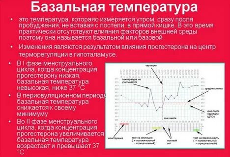 Постоянная температура 37 1