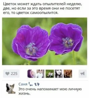 Очень напоминает