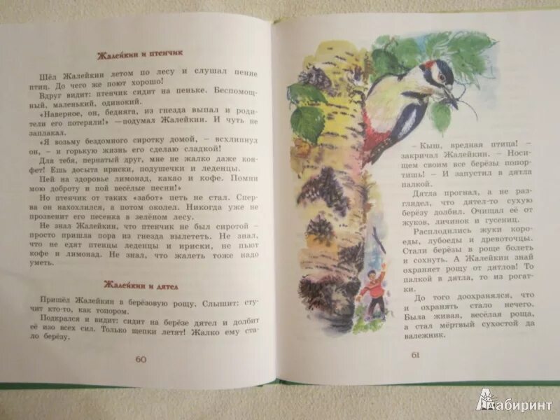 Сладков рассказы распечатать. Н.Сладков рассказы для 2 класса о природе. Рассказы Николая Сладкова. Сладков Лесные тайнички. Н Сладков рассказы.