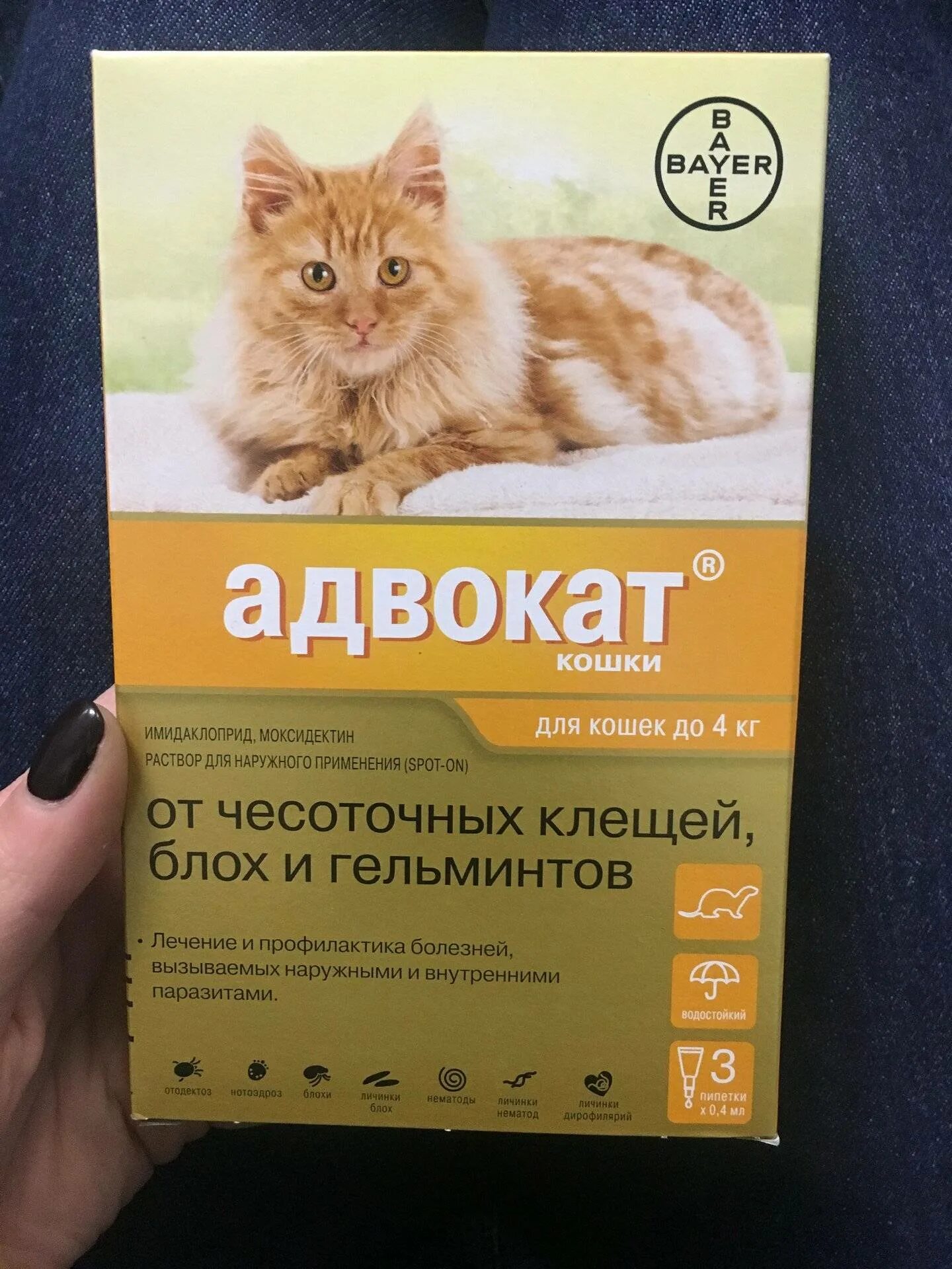 Адвокат кошки до 4. Капли от блох адвокат для кошек. Bayer адвокат для кошек. Адвокат капли на холку для собак. Адвокат: капли для кошек от паразитов.