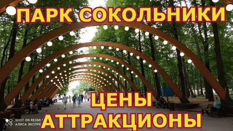 Сокольники парк в выходные
