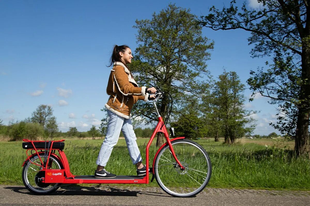Bicycle model