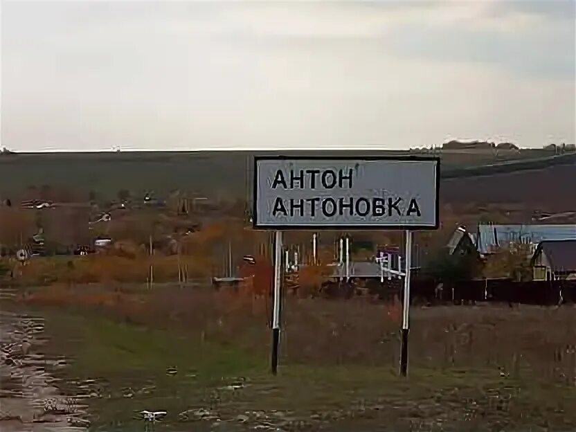Антоновка медовая томат отзывы. Село антоновка татарстан. Погода новая антоновка. Погода новая антоновка. Село антоновка.