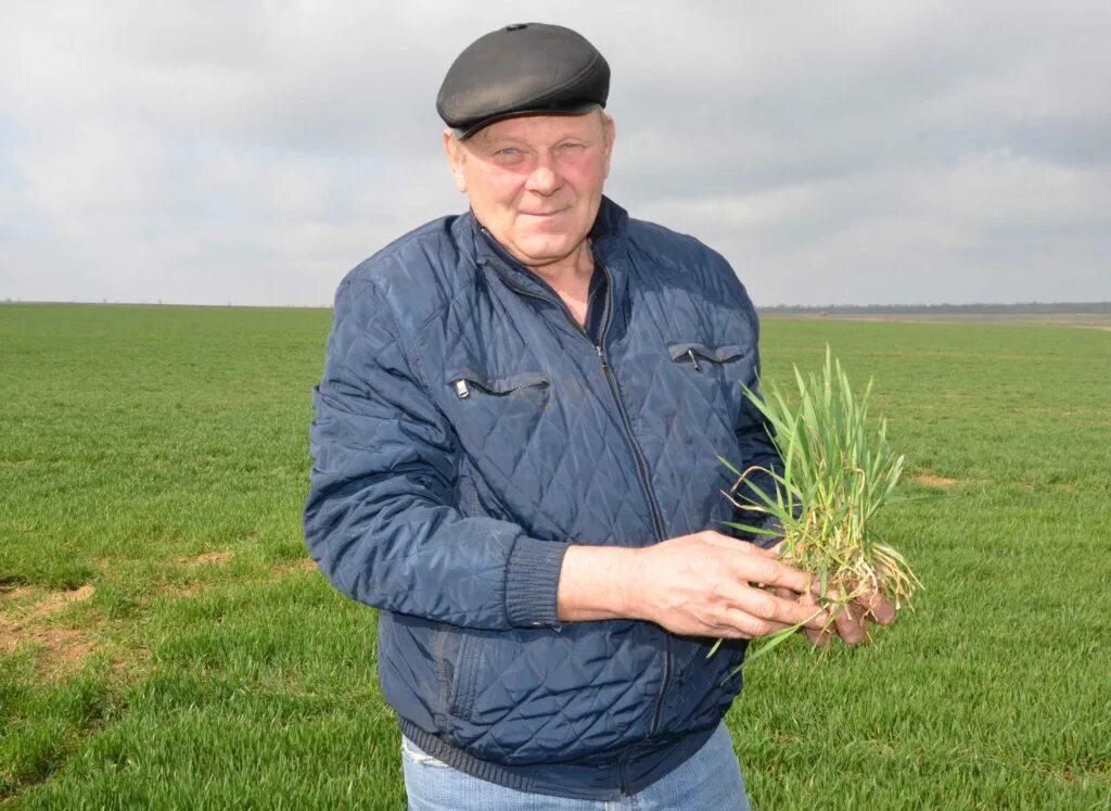 Магазин земледелец в нижнем новгороде проспект гагарина телефон. Занятия древних египтян 5 класс. Земледелец кстово. Рассказ о жизни земледельца в древнем египте. Земледелец кстово.