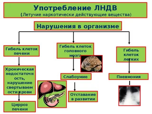 Летучие вещества это. Летучие наркотические действующие вещества. Летучие вещества наркотического действия. Летучие наркотически действующие вещества - ингалянты. Летучие органические соединения воздействие на организм.