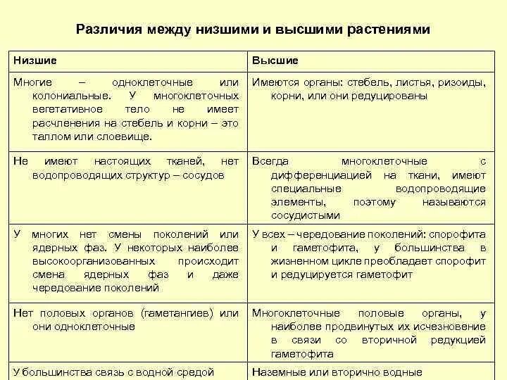 Чем высшие растения отличаются от высших. Чем высшие растения отличаются от высших