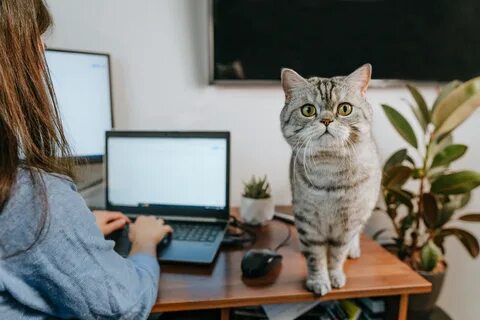 Другие домашние интернеты