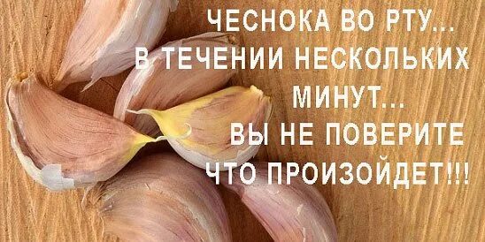 Резаный чеснок натощак по утрам. Зубчик чеснока. рассасывать чеснок. зубчик чеснока натощак. зубчик чеснока в день.