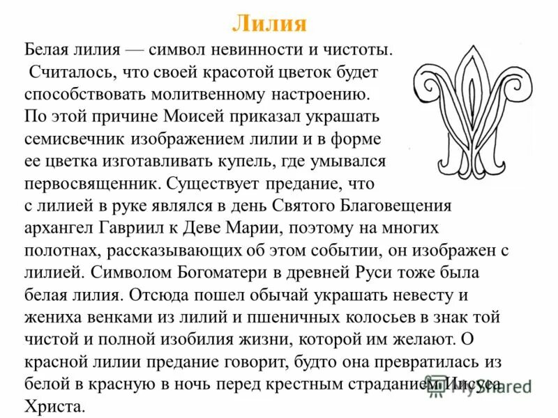 Что значит королевская. Королевская лилия символ значение. лилия символика в христианстве. белая лилия символ. лилия символ в христианстве.