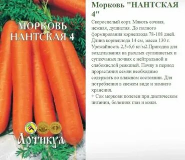 Морковь нантская характеристика и описание