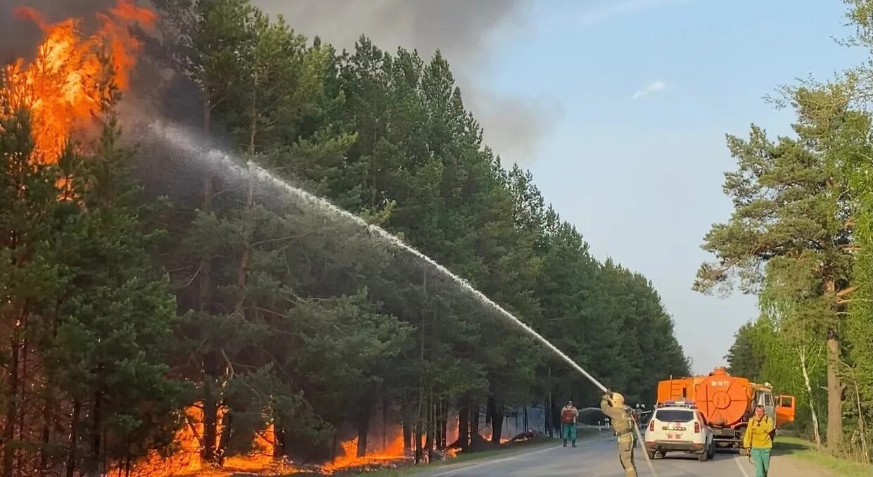 Там горела. Лесные пожары в Тюменской области 2021. Лесной пожар в Тюмени Андреевский 2021. Лесной пожар в Андреевский Тюмень. Самый крупный Лесной пожар в Тюменской области.