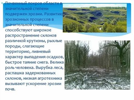 Почвы курского края