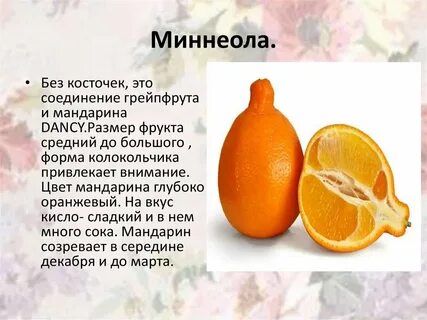 Цитрусовые фрукты названия на русском