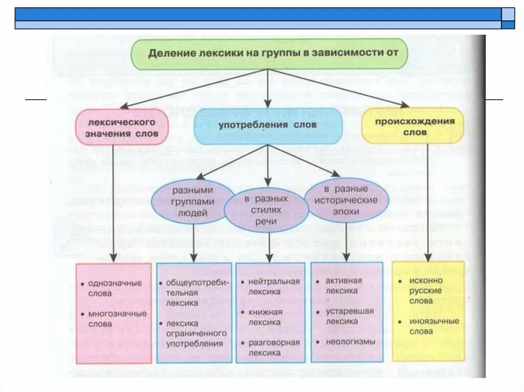 Группа слов с общим. Группы лексики в русском языке 6 класс. Лексика русского языка таблица. Лексические группы слов в русском языке. Схема лексика русского языка.