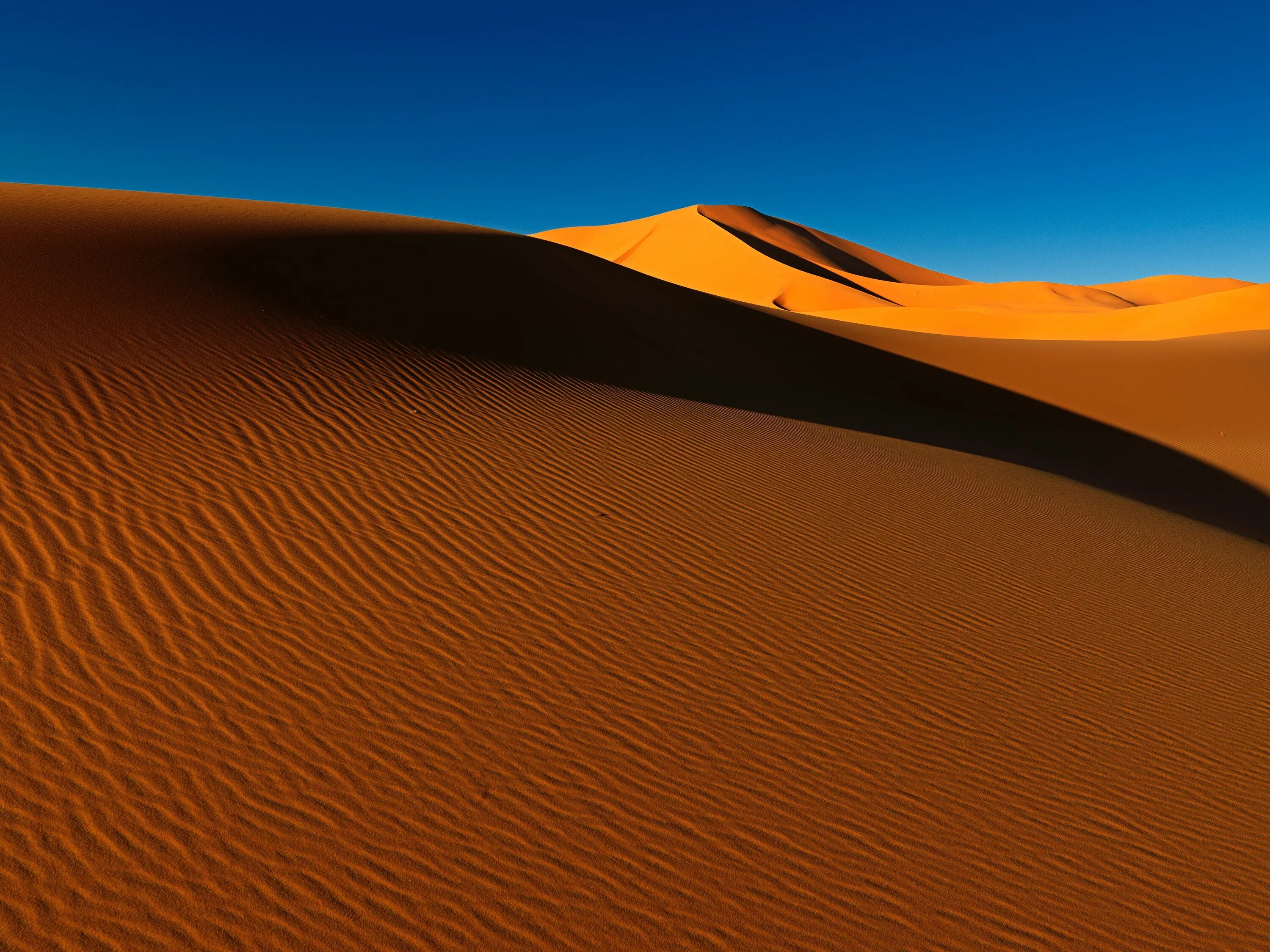 Пустыня сахара дюны. Песчаные дюны Раджастхан. Дюны и Барханы. Пустыня Намиб.