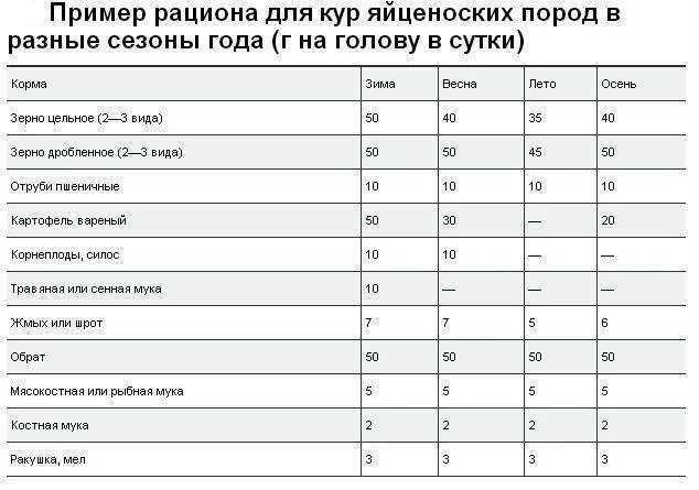 Курица несушка корм в сутки. Суточные нормы кормления кур несушек. Нормы кормления кур несушек в домашних. Норма корма для курей несушек в сутки. Таблица кормления кур несушек в домашних условиях.