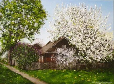 Черемуха в саду картина