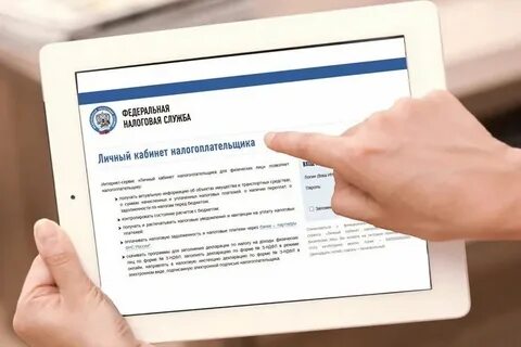Сроки декларационной компании