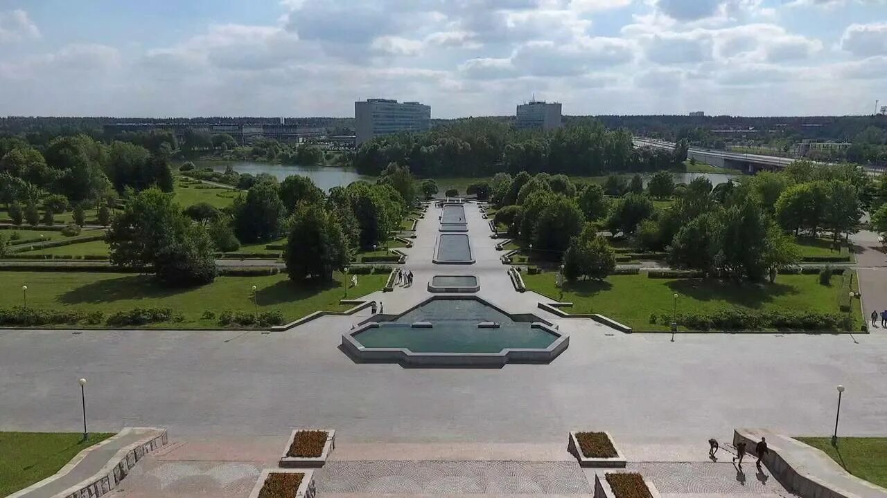 Культура зеленограда
