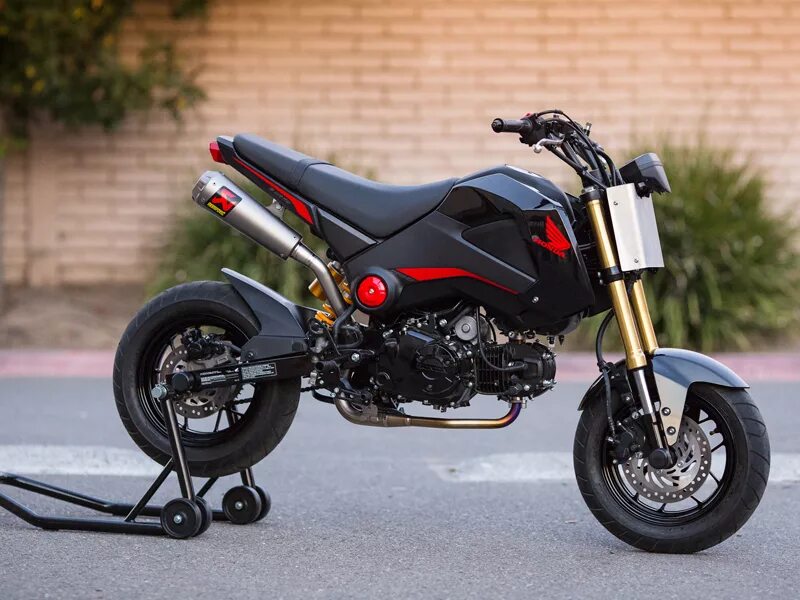 Хонда слайдер. Honda Grom 125. Honda MSX 125 Grom. Honda Grom 600. Honda Grom stock.