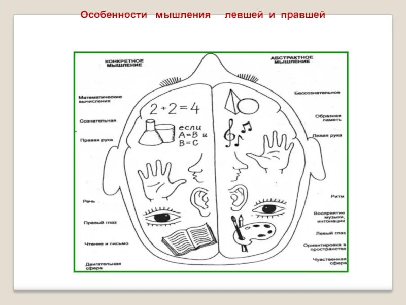 Какие глаза были у левши. Особенности мышления левшей. особенности леворуких и праворуких детей. левши и правши особенности. особенности психики левши.