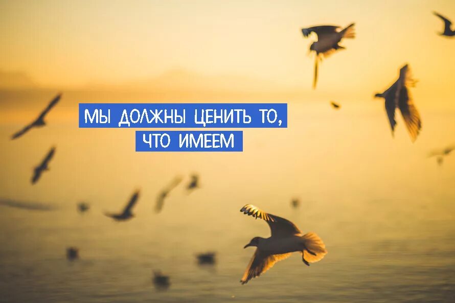 Цени то что имеешь цитаты. Цените то что имеете. Цени что имеешь картинки. Нужно ценить то что имеешь. Мы должны ценить что имеем.