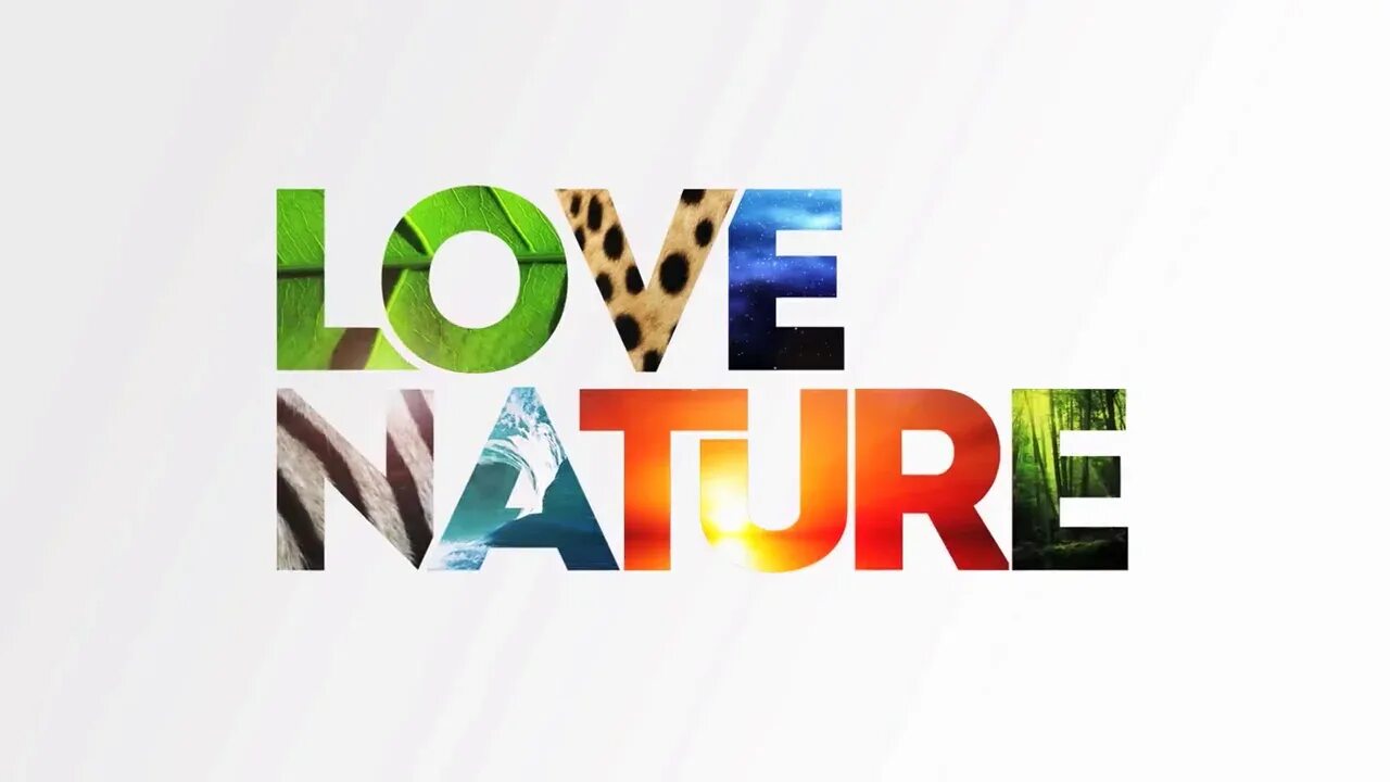 Телеканал Love nature. Love nature 4k логотип. Канал о природе логотип. Значок канала - Love nature. Love channel