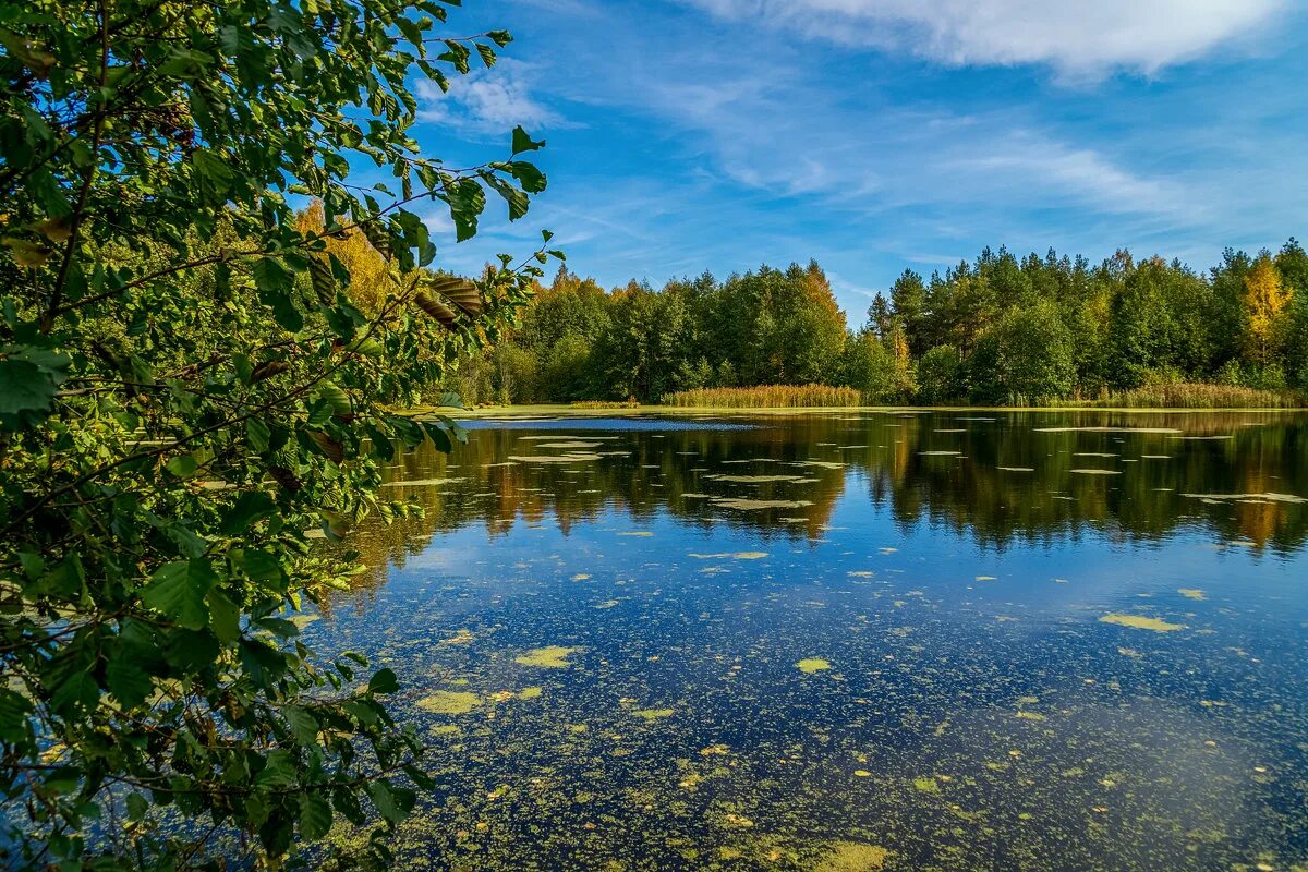 Вода озерца