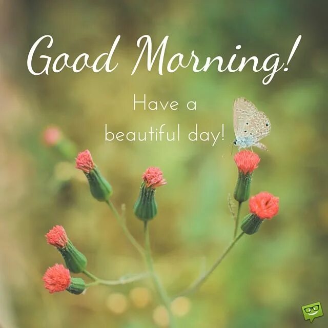 Make this day good. Good Day картинки. Good morning have a good Day. Good morning have a beautiful Day. Открытки good morning have a good Day.
