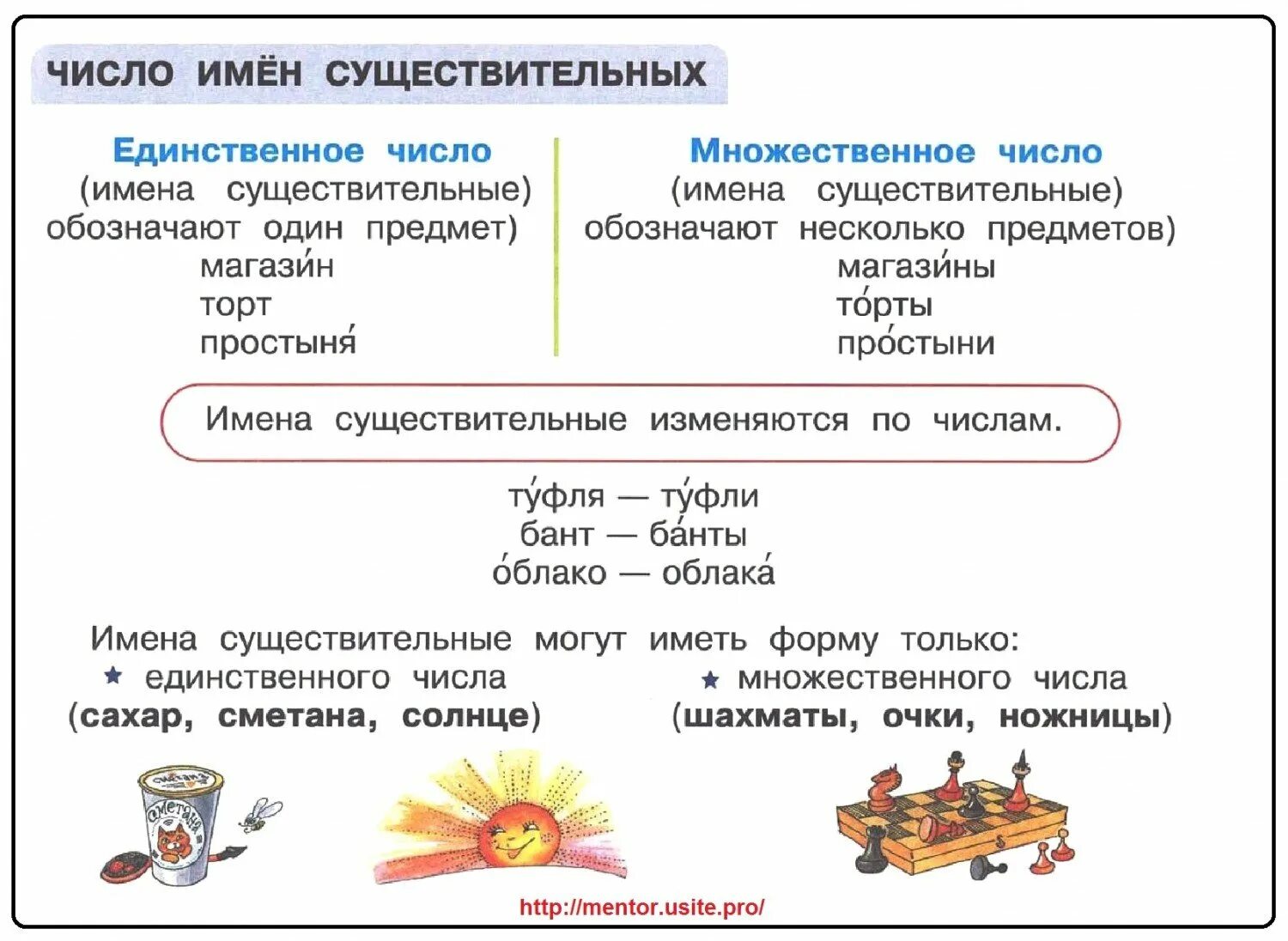 Темнота единственное или множественное. Единственное и множественное число. Одежда во множественном числе. Форма слова единственное и множественное число. Единственное и множественное число существительных 2 класс.