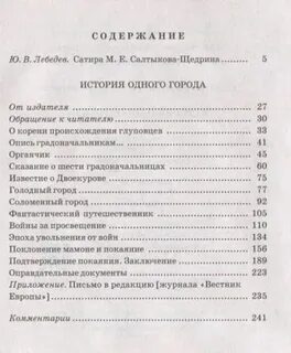 Заключение история одного города