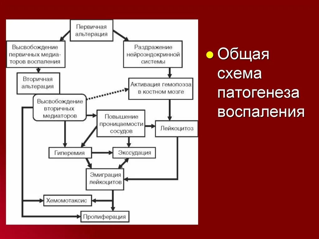 Патогенез воспаления патофизиология схема. Схема патогенеза хронического воспаления. Механизмы развития общих проявлений воспаления. Ведущие звенья патогенеза острого воспаления. Общая этиология общий патогенез