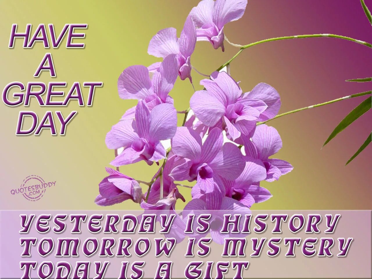 I had a great day. Have a great day. have a great day открытки. good morning have a great day. have a great day картинки красивые.