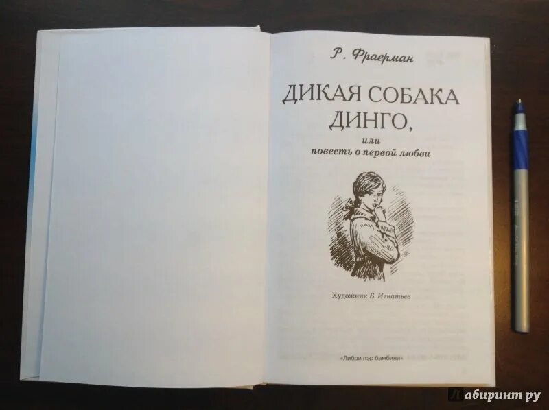 Дикая собака динго или история первой любви. Дикая собака Динго, или повесть о первой любви. Дикая собака Динго книга. Дикая собака Динго, или повесть о первой любви книга. Рувим Фраерман Дикая собака Динго или повесть о первой любви.