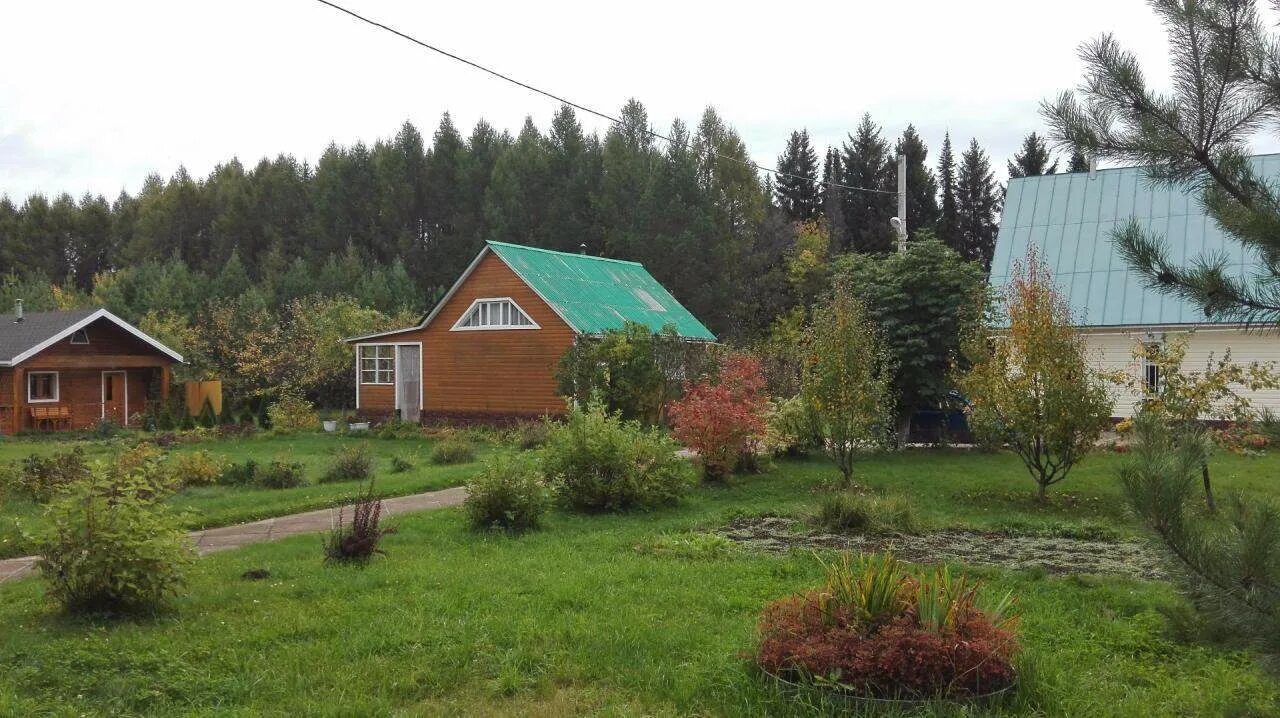 Не пользуется участком в снт