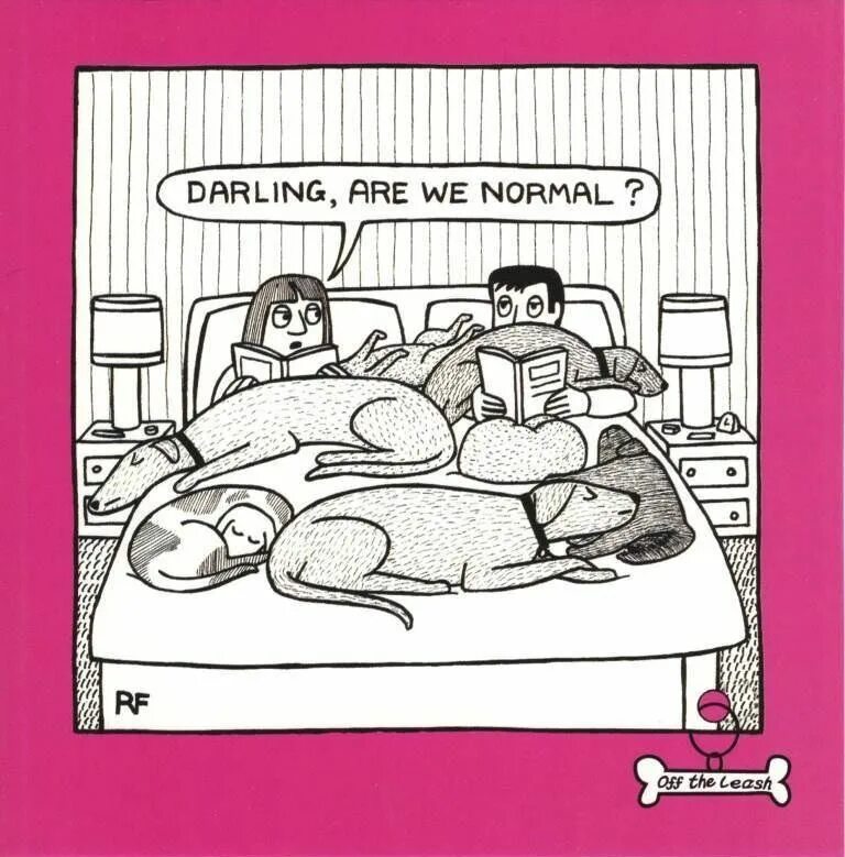 Get off the leash. Off the leash. humour cartoons. mad dog. off the leash. 2009.