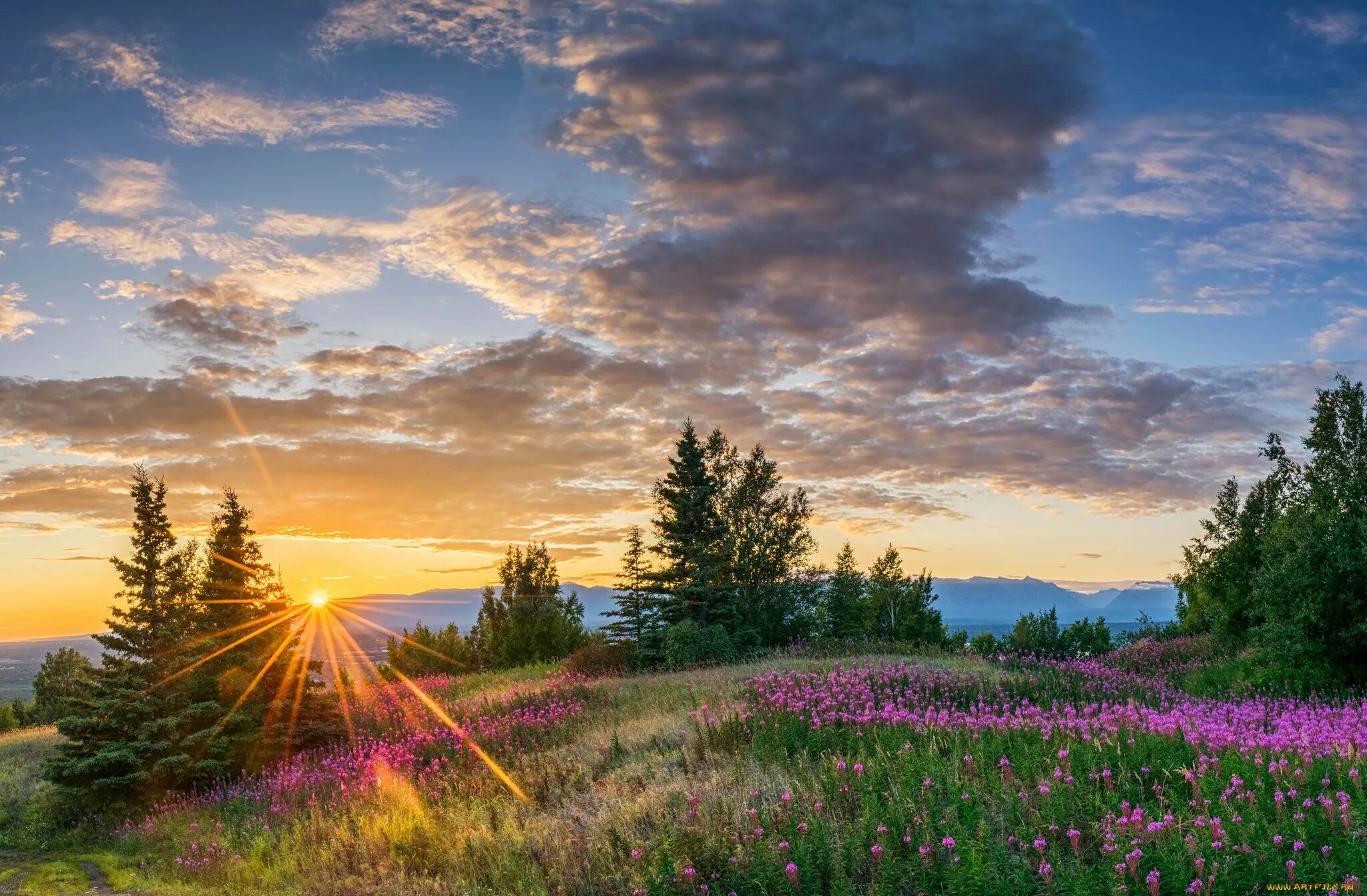 Прекрасное утро природа. Красивый рассвет. Природа рассвет. Летний пейзаж. Пейзаж рассвет.