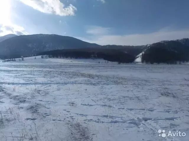 Погода тюдрала. Козья тропа алтай. Село тюдрала республика алтай. Тюдрала республика алтай. Усть канская пещера.